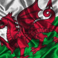 napo cymru (@napocymru1) 's Twitter Profile