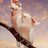 kakadu_on_tour's profile image