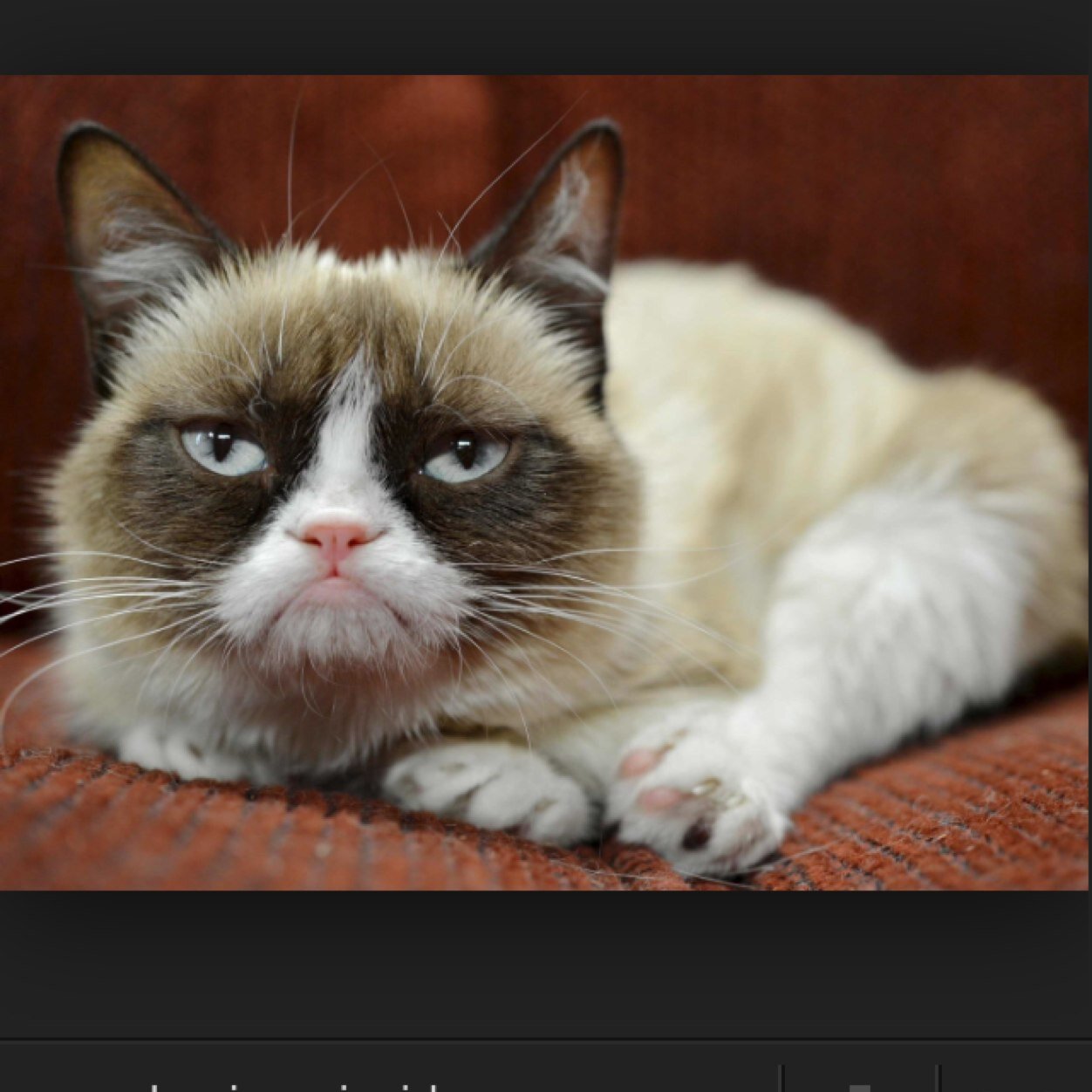 JimiBesszong's profile picture. 