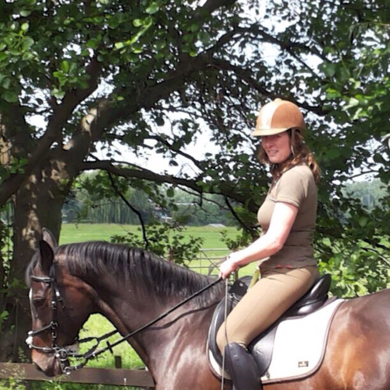 Learning from horses