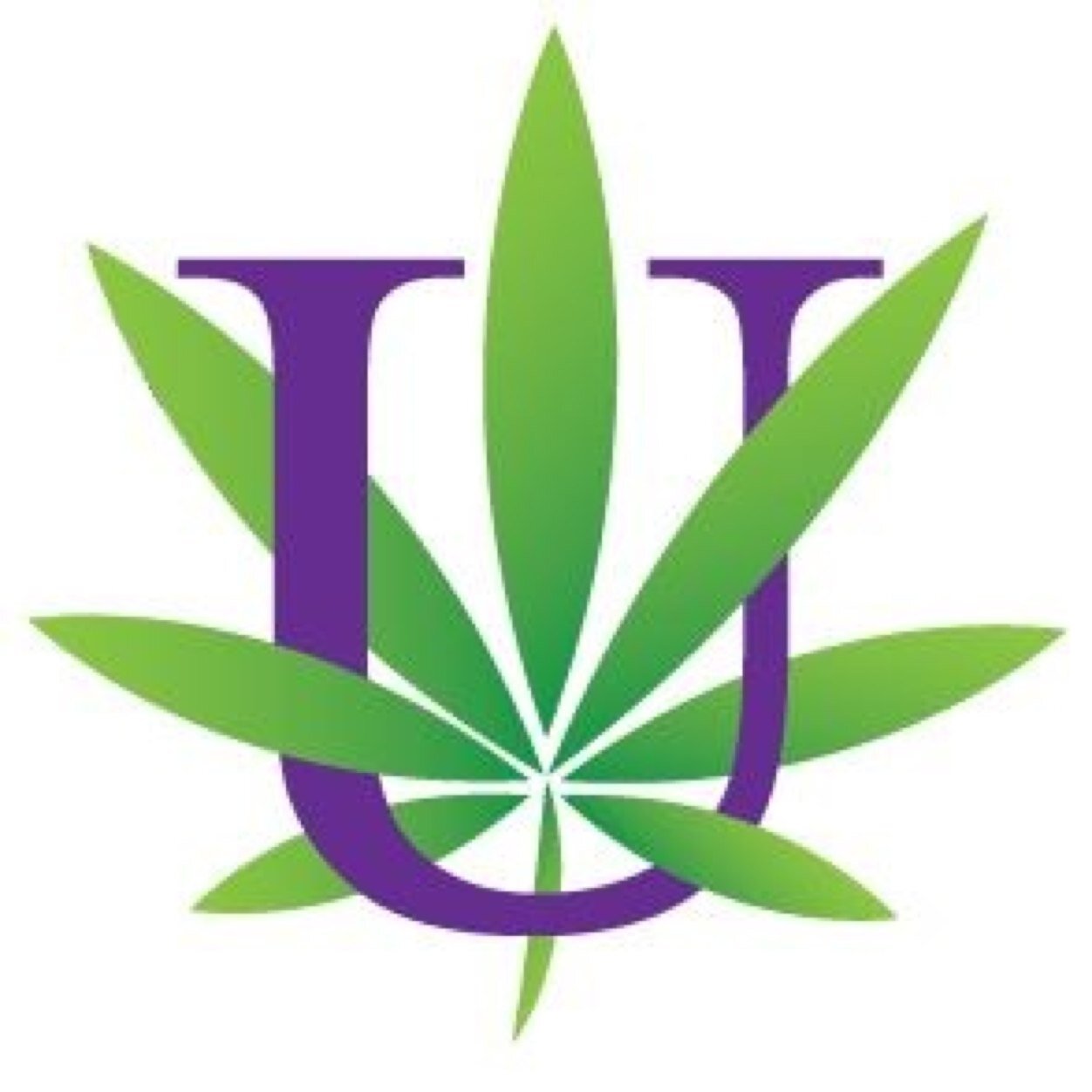 The #1 Cannabis Institute for the serious business owner!