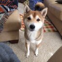 Gilbert Acevedo - @gilbert_ace - Twitter