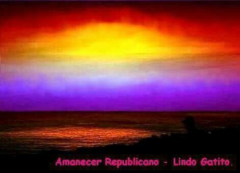 isidorocoello's profile picture. 