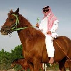 Al__khayal's profile picture. الخيل من خيالها ؟