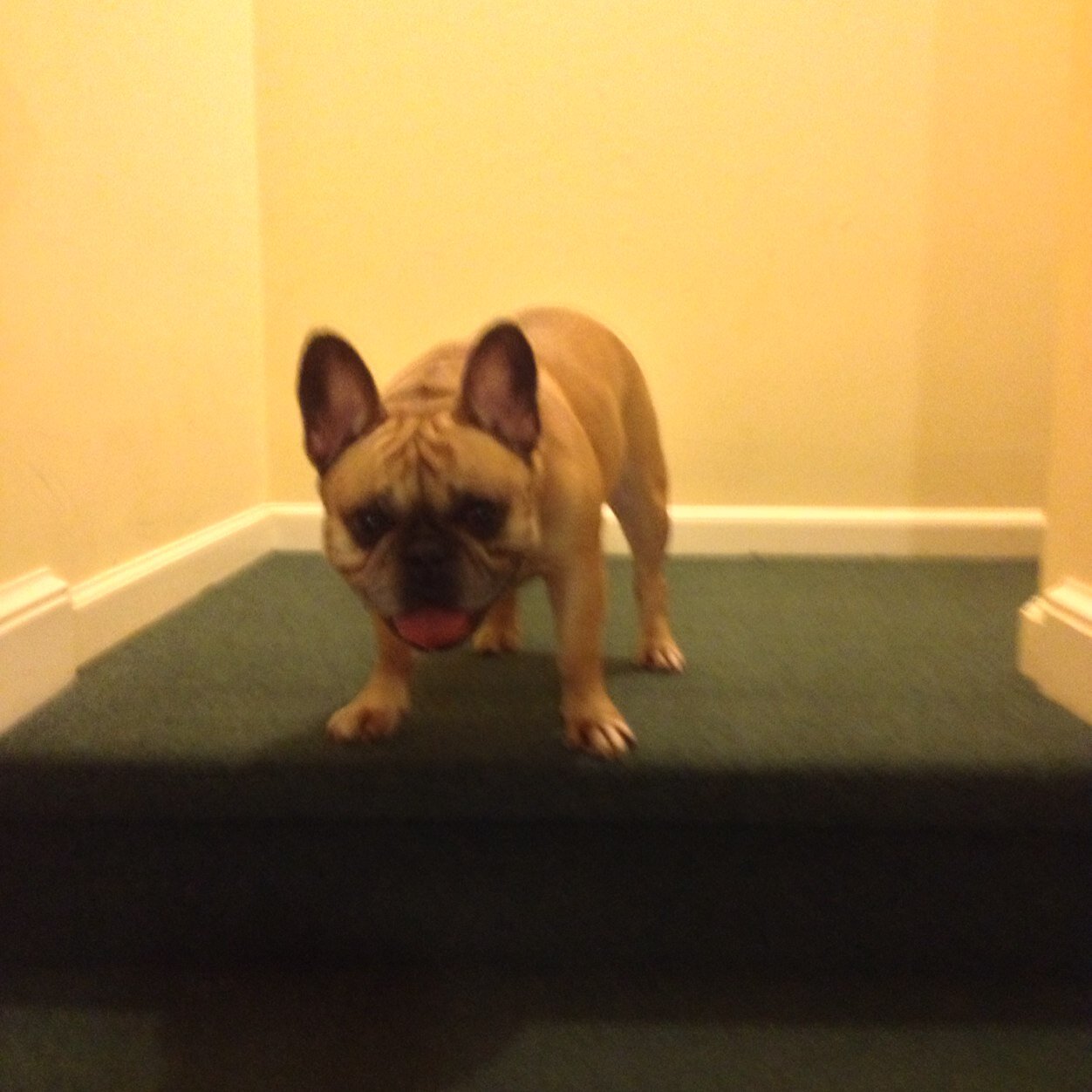 jburrcpa's profile picture. CEO James W. Burroughs CPA PC