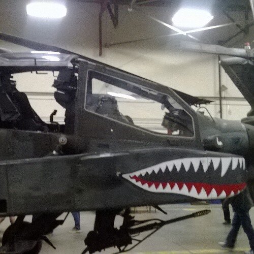 shanecastillo5's profile picture. 