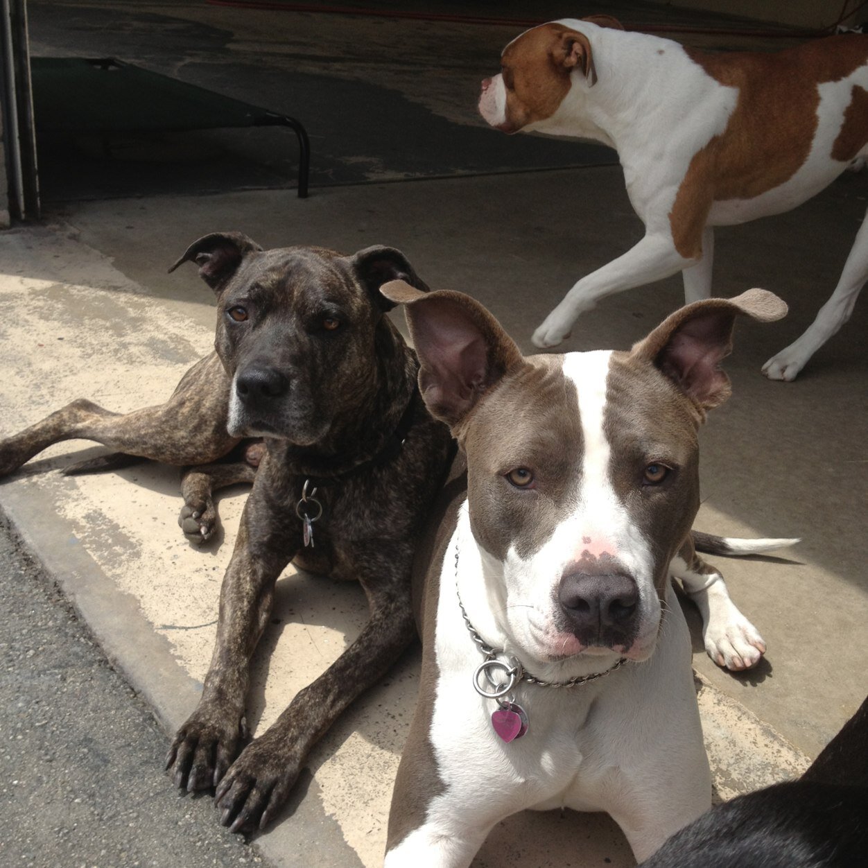 DemusVondo's profile picture. 