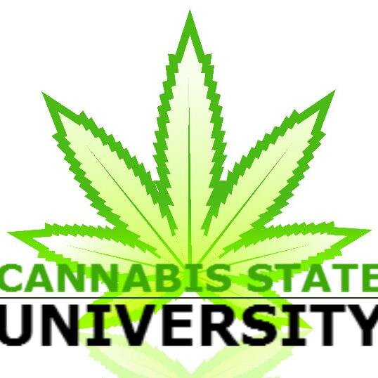 The Premiere Cannabis Business Institute!
