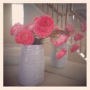 Katy Dalton - @valleyblooms - Twitter