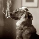 David Baus - @DavidBaus93 - Twitter