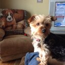 kathy smith lewis - @katlew54 - Twitter