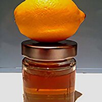 Lemons Honey Vinegar (@lemonshoney) 's Twitter Profile Photo