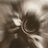 AturoLS's profile image