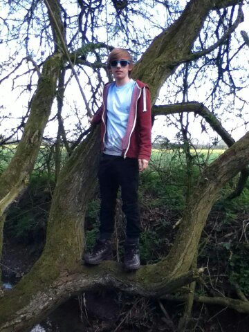 _ben___johnson_'s profile picture. New account - @binyaminor