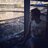 alleyolivier_'s profile image