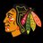 hosscatbacker's profile image
