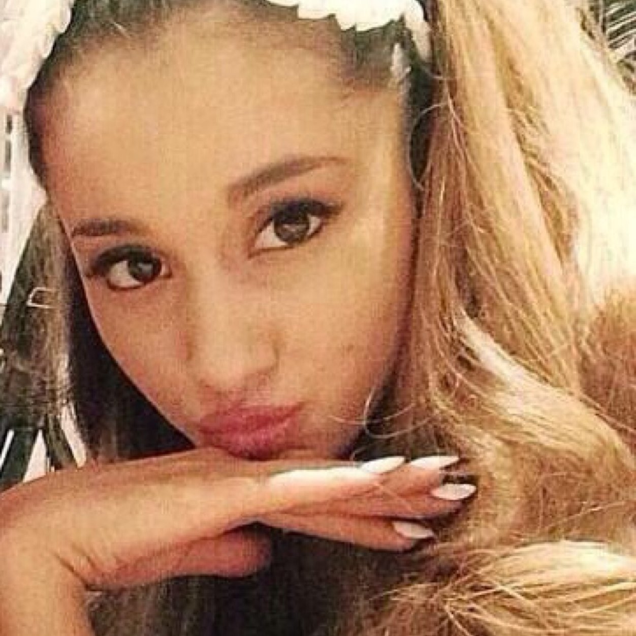 This is a free follow and I would really appreciate if you followed @AriAzallea