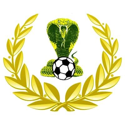 Adelaide Cobras Football Club is part of  the Football Federation South Australian National League structure. We have 3 senior squads registered with FFSA.