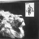 terrell heard - @heard_terrell - Twitter