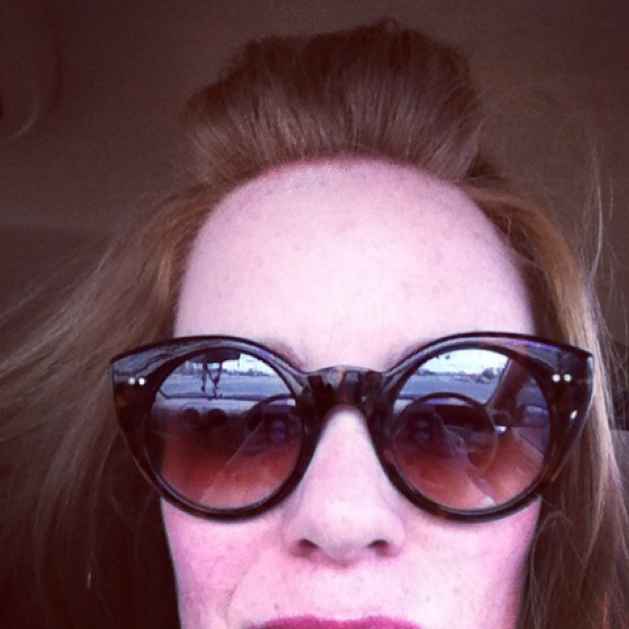 OldDaisyBird's profile picture. 