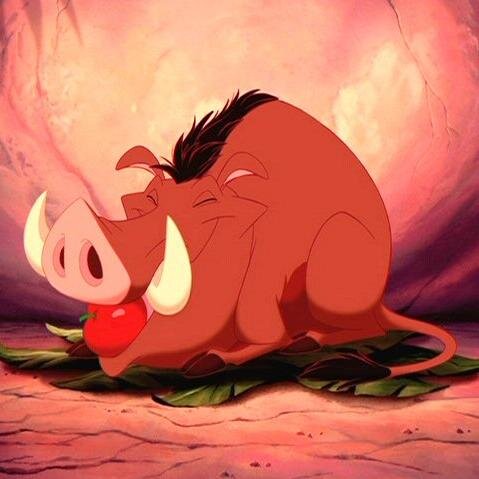 PumbaaThe Profile Picture