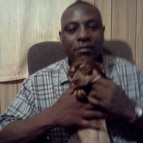 shockrock1's profile picture. 