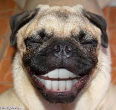 JaMeSNortcliffe's profile picture. 