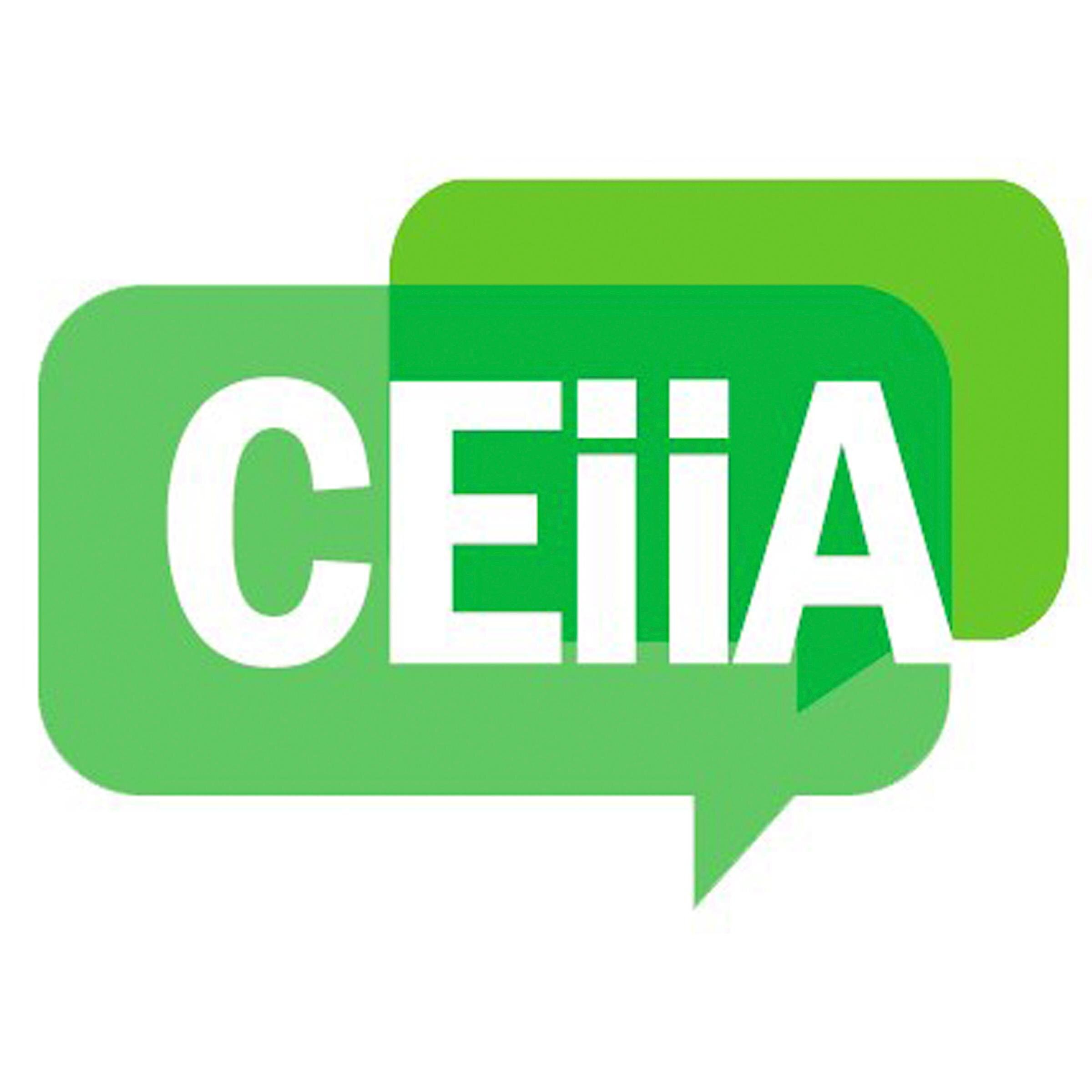 Somos el Centro de Estudiantes de Ingeniería en Información y Control de Gestión y Auditoría, Universidad de Chile