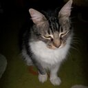 norma beatriz wagner - @pez123q - Twitter