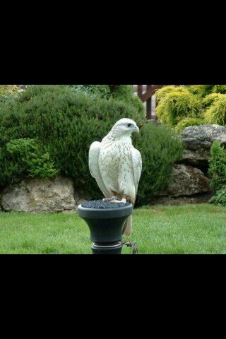 ‏‏‏‏‏أشري وناسة خاطري من حلالي ومحدن حسيبلي على النقص والزود 7DB7FB95