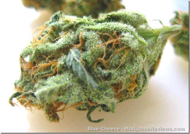Smoke® what you want its a plant evolved for smoking gets you high but don't abuse it respect it and if you don't you will regret it®,follow back please #peace