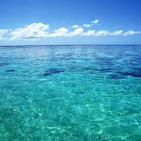 Kosuke S (@kosukeblue) 's Twitter Profile