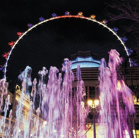 SevenOhTwo's profile picture. Discipline, Leisure, Gambling, Trends, and Competition. A non-narcissistic account, stimulating convos... always putting YOUR opinions first.