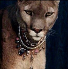 التغريده إللي جابتك ؟ تلقى أحلى منها :$ .
