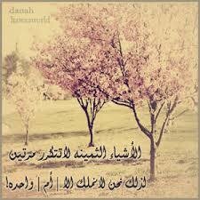 الام لوحه ارشاديه مكتوب عليها طريق الجه من هنا...