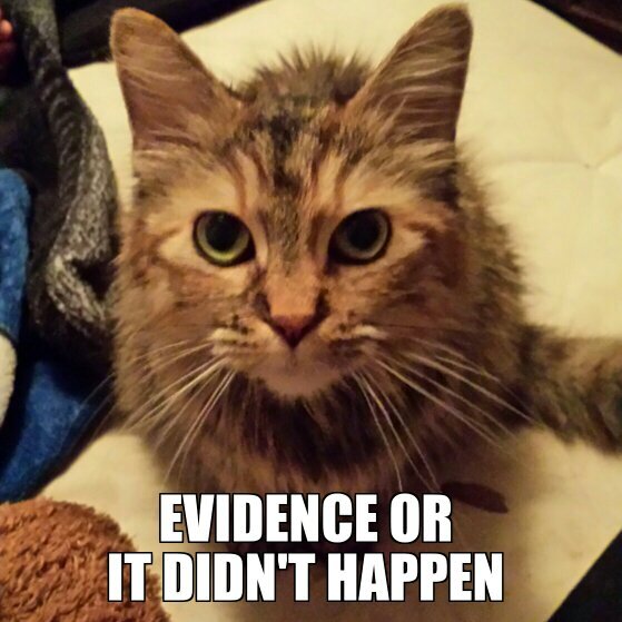 Atheist Cat CatGodIsALie Twitter Atheist Cat CatGodIsALie Twitter
