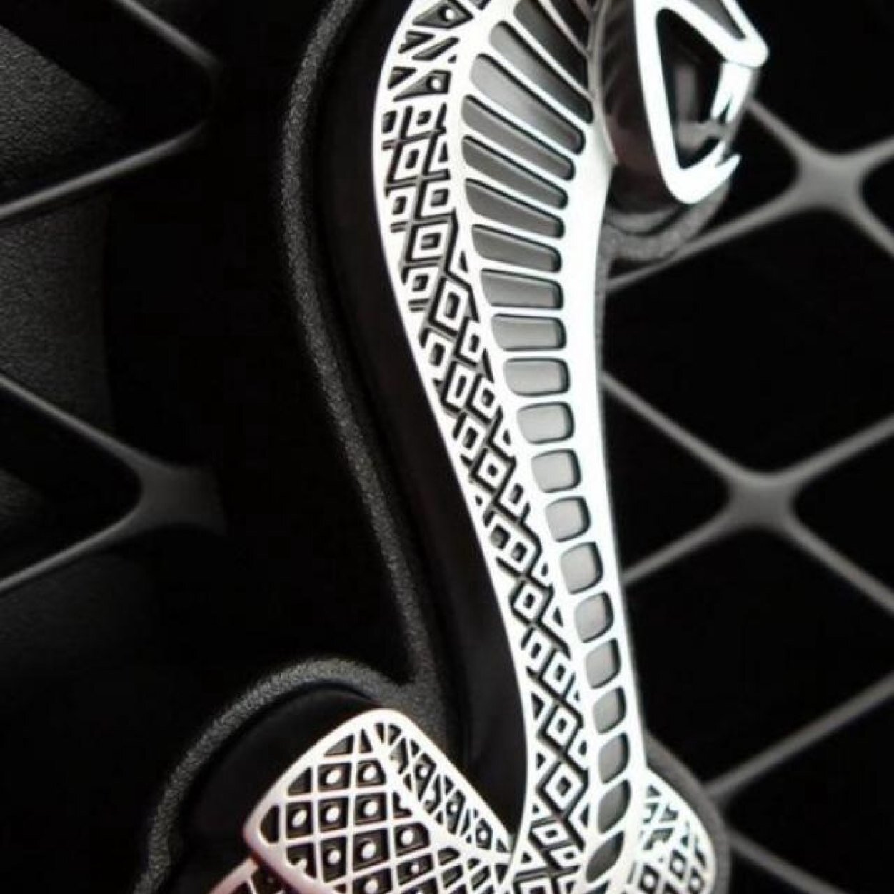 EliLearntolive's profile picture. 