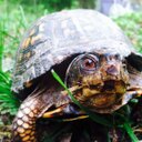 Jordon White - @JrAEwhite - Twitter