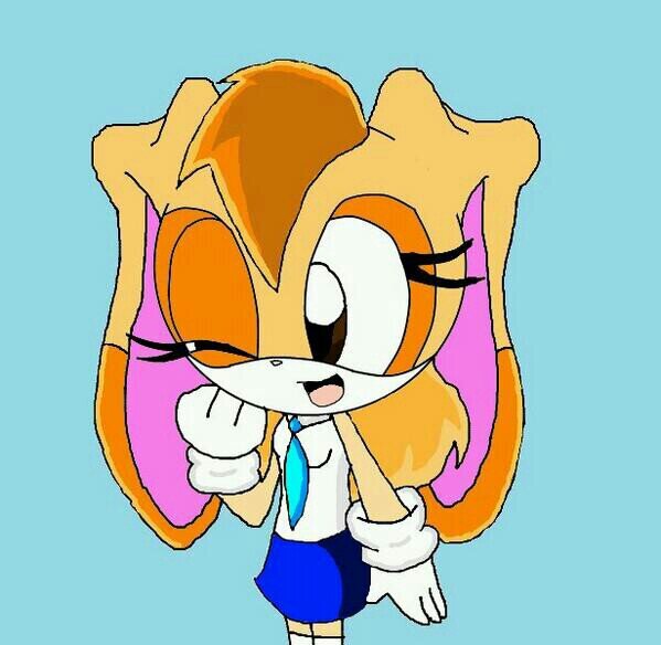 The Names Cream the Rabbit!|Loves Baking,playing and being with Cheese! My Chao!|This might sound weird..but I miss Mr.Tails!|My friend is Amy Rose!|#Single|