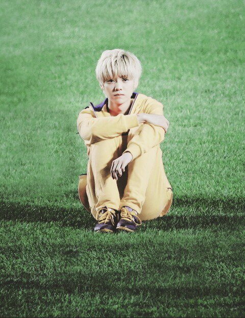 HI i am exotics~