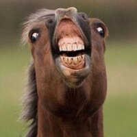 Elite pugtato (@pugmanspug) 's Twitter Profile