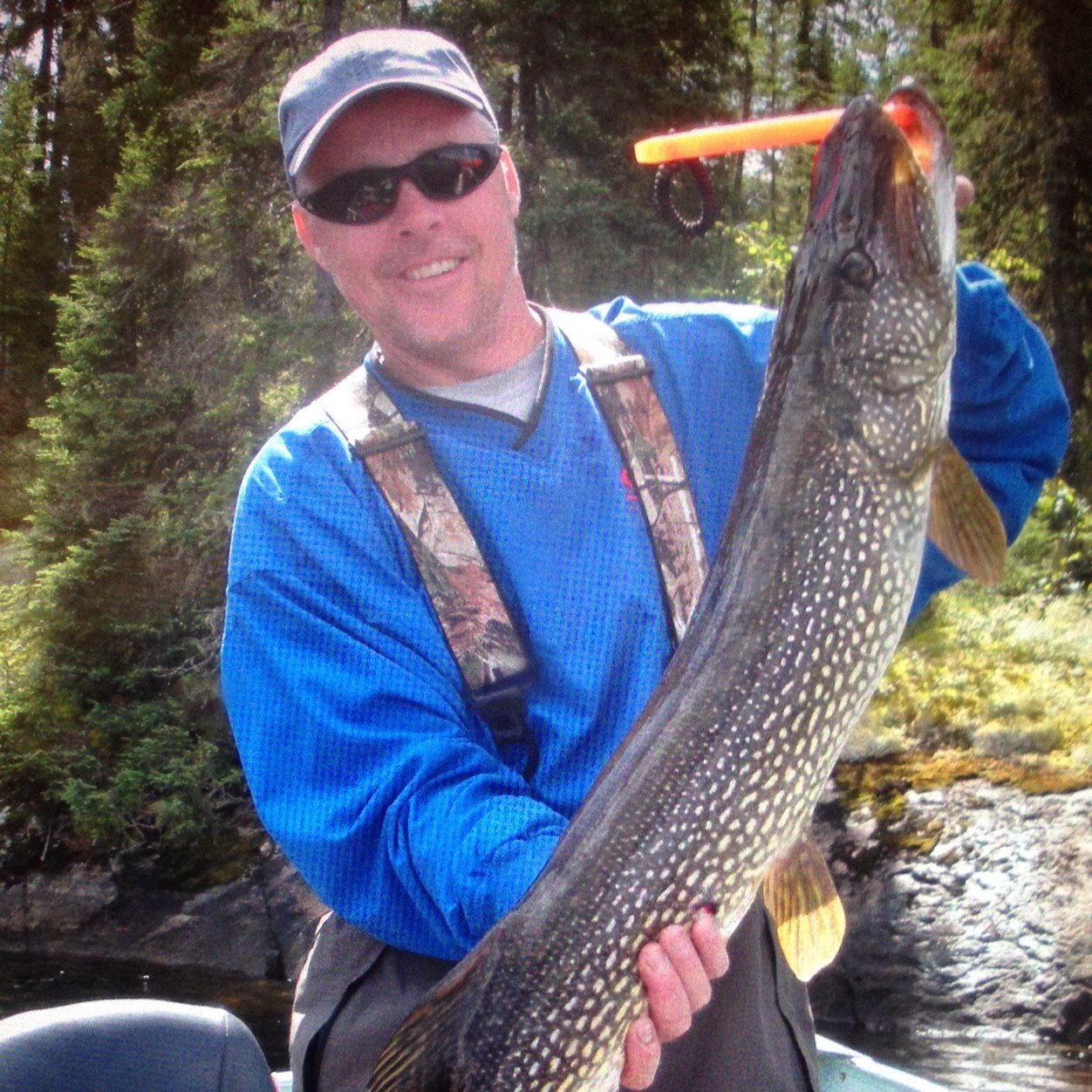 71Hitch's profile picture. 