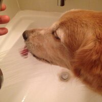 ⟭⟬ Nori-P ⟬⟭ (@augue) 's Twitter Profile