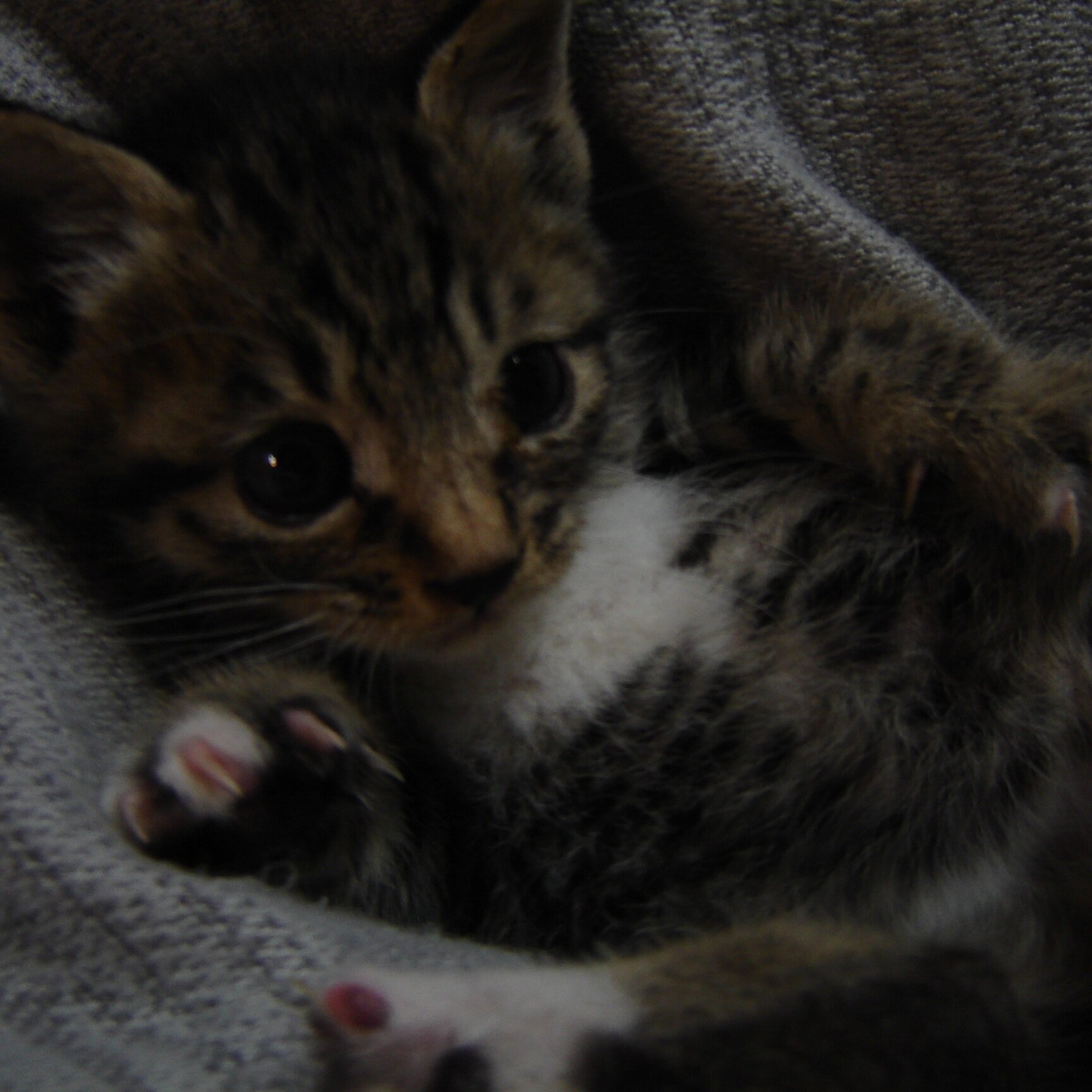 MikaCooke's profile picture. 