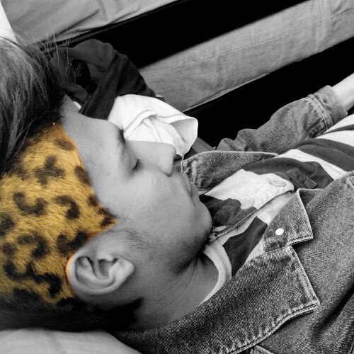 kamo_kami's profile picture. 