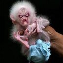 william slama - @gmail_slama - Twitter