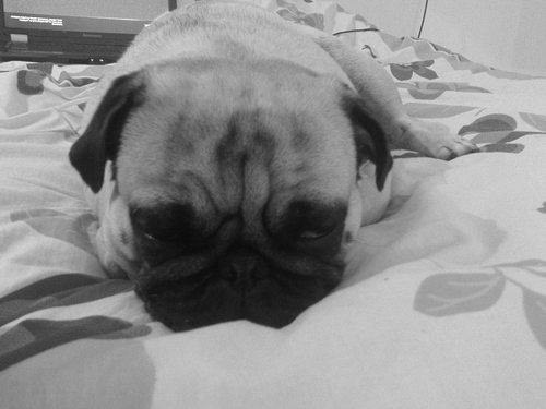 liathedva's profile picture. 