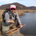 Doug feldman - @dougiefeldman - Twitter