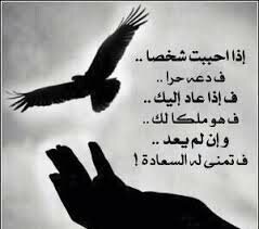 ‏مـاقلت  احـبك ولا قـد قلت ماحبك
احـب مـالي عـيوني وانت تسواها

لو تدري اش كثر تعني لي تعرف انك
اخـر  امـل فـي حياتي واول مناها