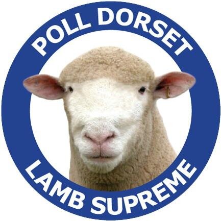 @AustPollDorset